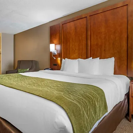 Comfort Inn Romeoville - Bolingbrook
